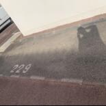 Places de parking